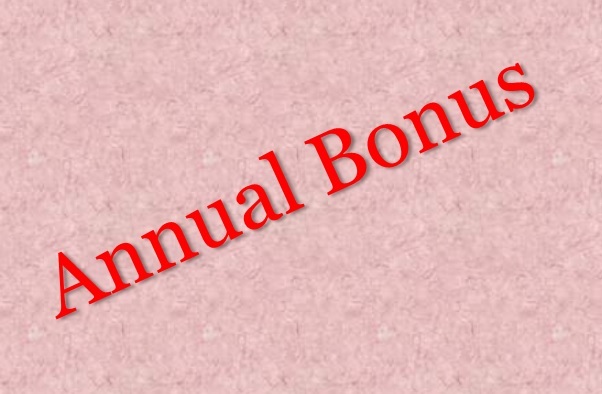 use annual bonus effectively